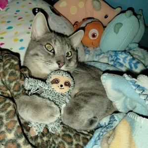 Meet your Posher, Tracy